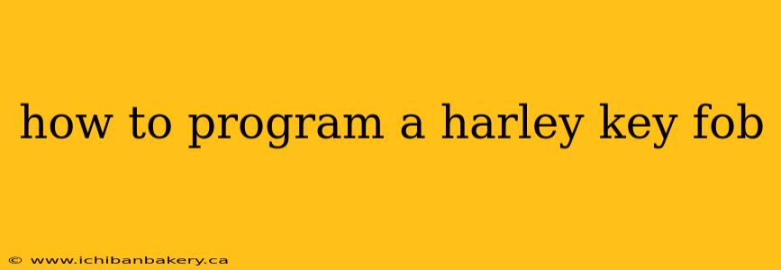 how to program a harley key fob