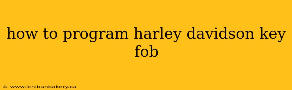 how to program harley davidson key fob