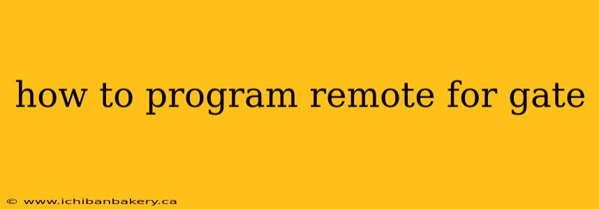 how to program remote for gate