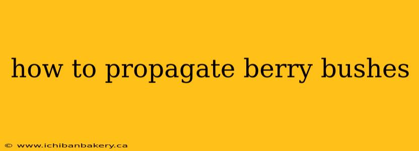 how to propagate berry bushes