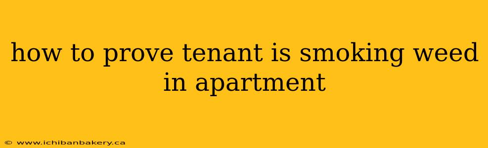 how to prove tenant is smoking weed in apartment