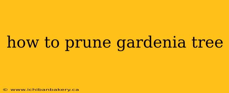 how to prune gardenia tree
