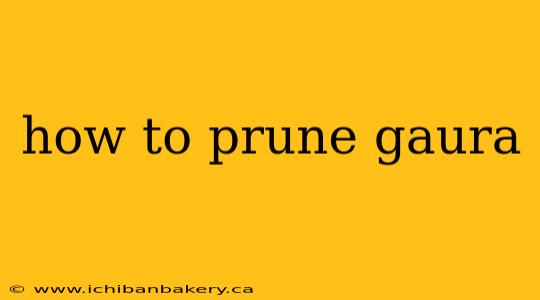 how to prune gaura