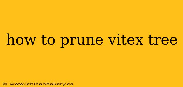 how to prune vitex tree