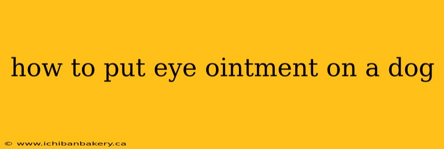 how to put eye ointment on a dog