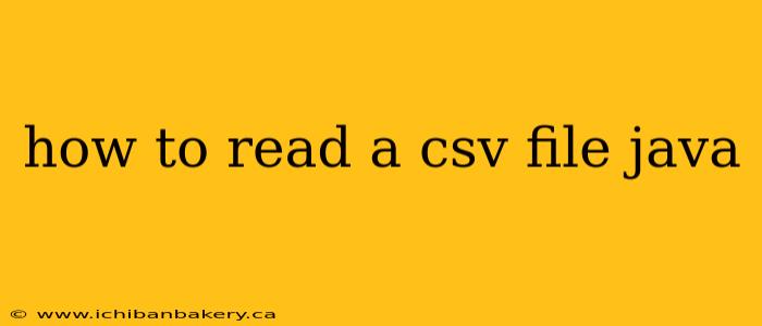 how to read a csv file java