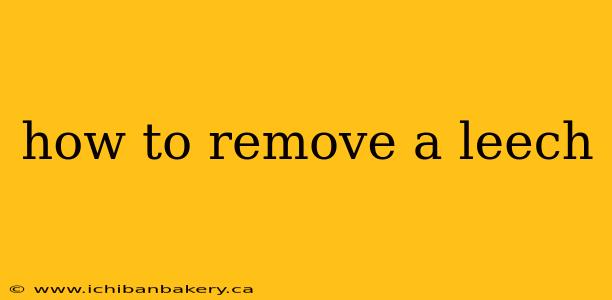 how to remove a leech