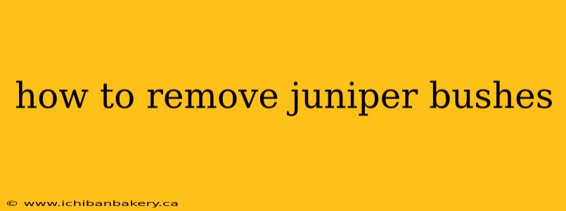 how to remove juniper bushes