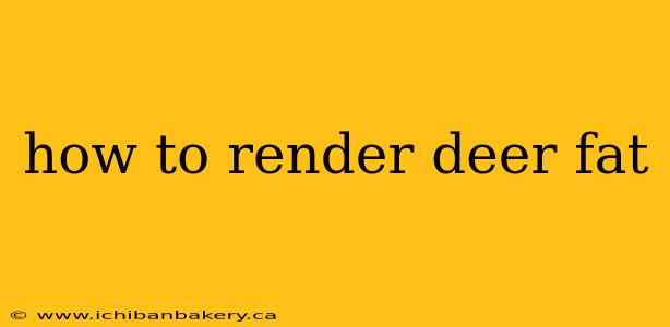 how to render deer fat