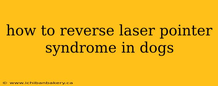 how to reverse laser pointer syndrome in dogs