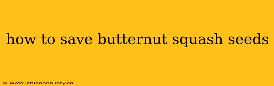 how to save butternut squash seeds