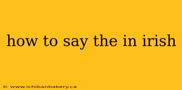 how to say the in irish