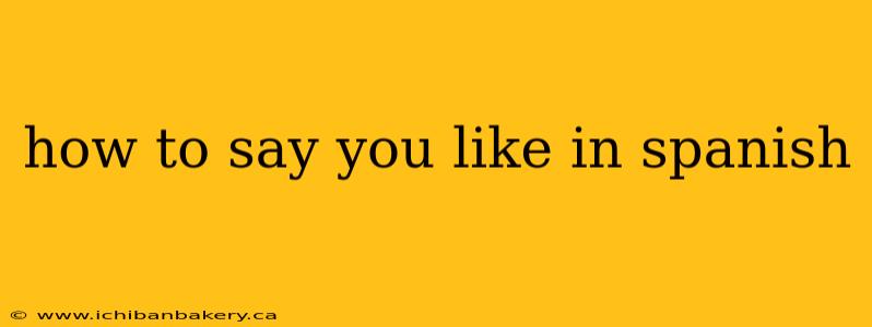 how to say you like in spanish