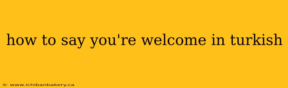 how to say you're welcome in turkish