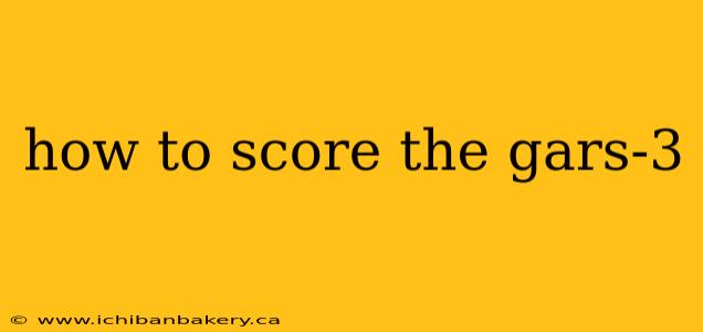 how to score the gars-3