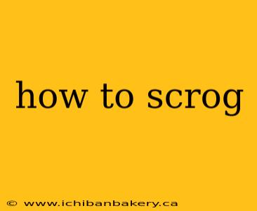 how to scrog