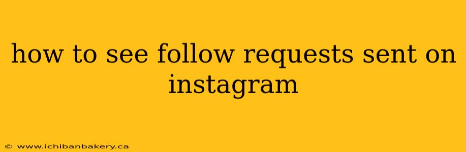 how to see follow requests sent on instagram