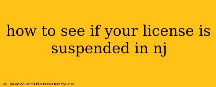 how to see if your license is suspended in nj