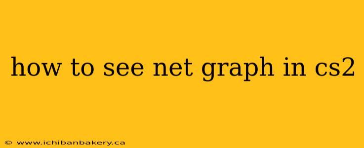 how to see net graph in cs2