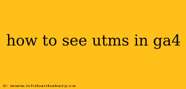 how to see utms in ga4