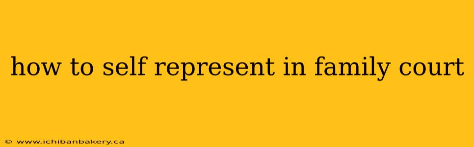 how to self represent in family court