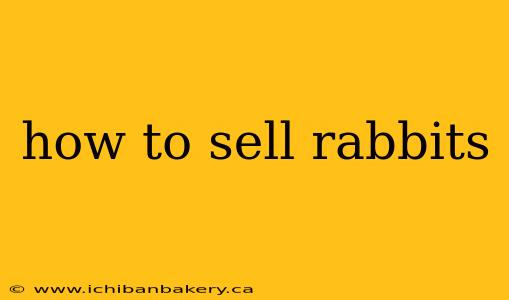 how to sell rabbits