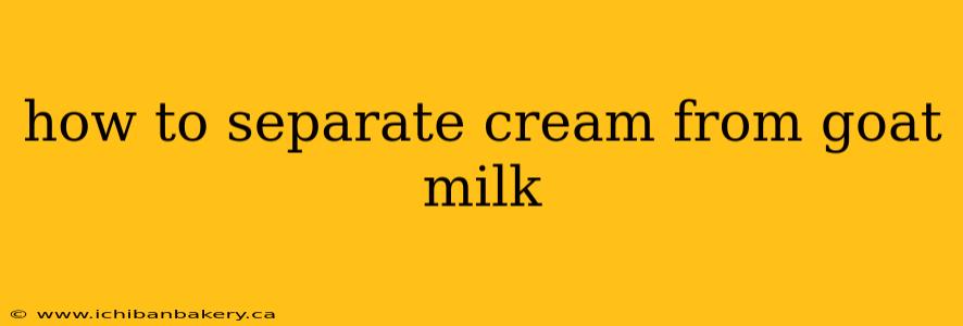 how to separate cream from goat milk