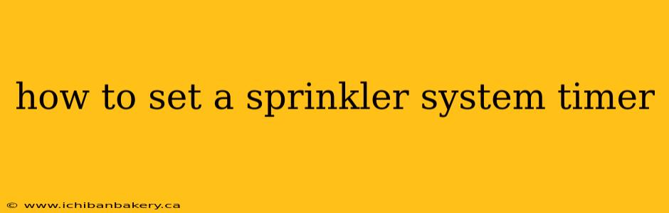 how to set a sprinkler system timer