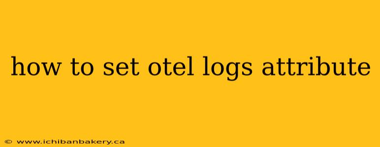 how to set otel logs attribute
