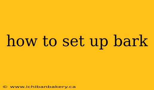 how to set up bark