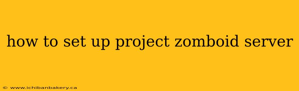 how to set up project zomboid server