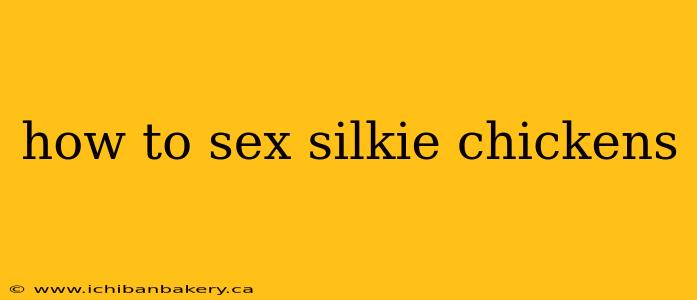 how to sex silkie chickens