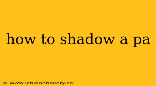 how to shadow a pa