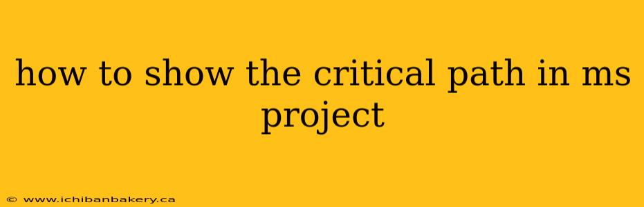 how to show the critical path in ms project