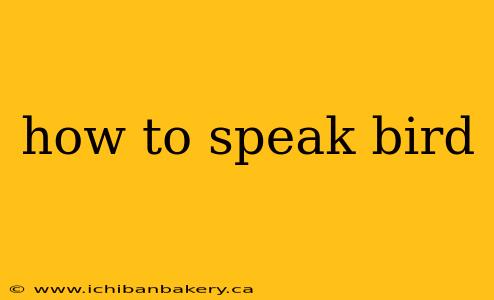how to speak bird