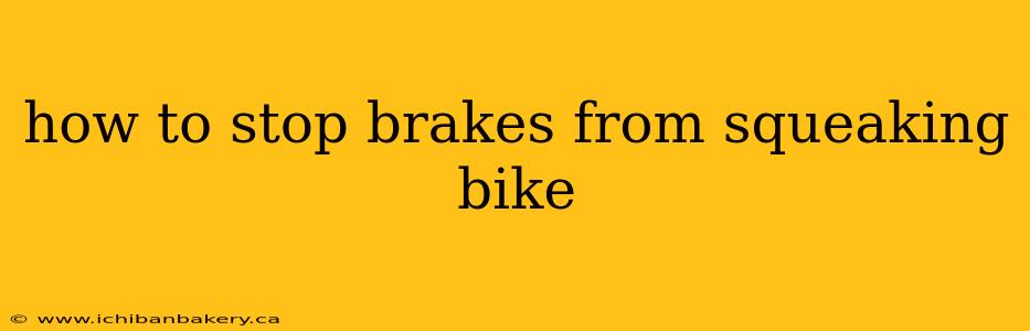 how to stop brakes from squeaking bike