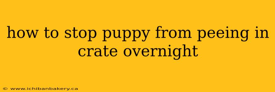 how to stop puppy from peeing in crate overnight
