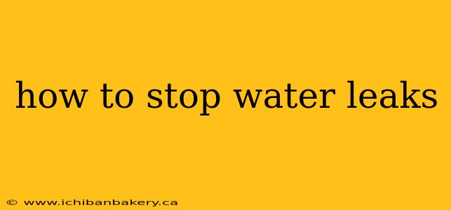 how to stop water leaks