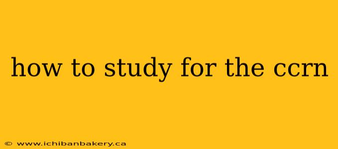 how to study for the ccrn