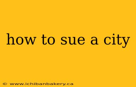 how to sue a city