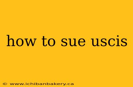how to sue uscis