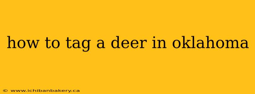 how to tag a deer in oklahoma