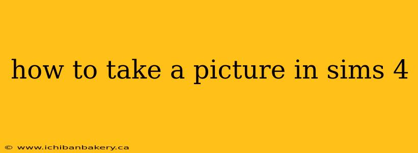how to take a picture in sims 4