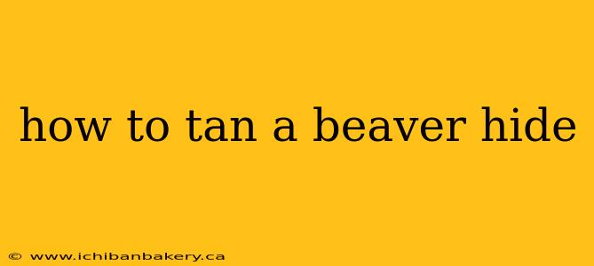 how to tan a beaver hide