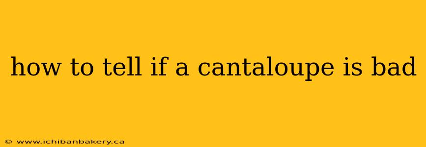 how to tell if a cantaloupe is bad