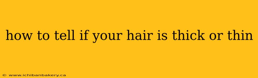 how to tell if your hair is thick or thin