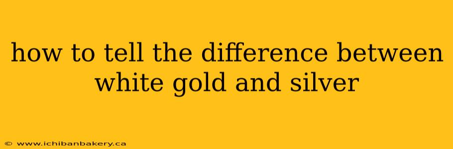how to tell the difference between white gold and silver