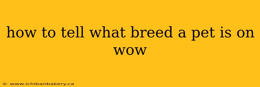 how to tell what breed a pet is on wow