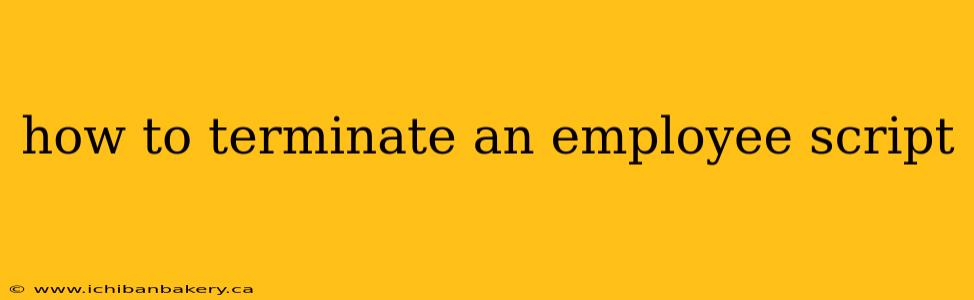 how to terminate an employee script