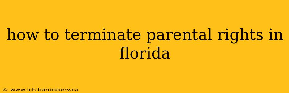 how to terminate parental rights in florida